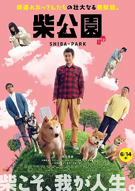 最近的最新的中文字幕视频