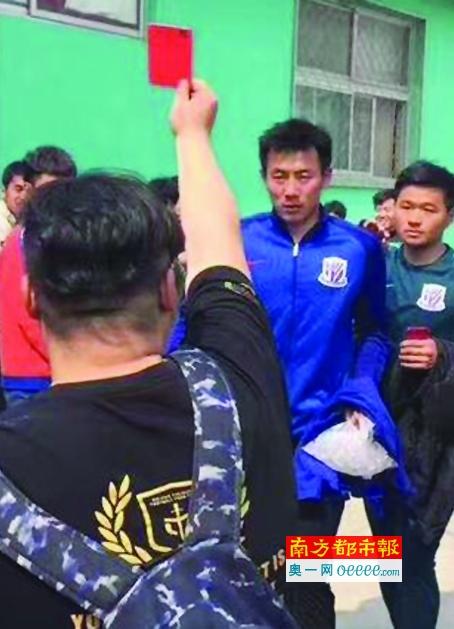 埃及猫原版视频完整版在线观看网站