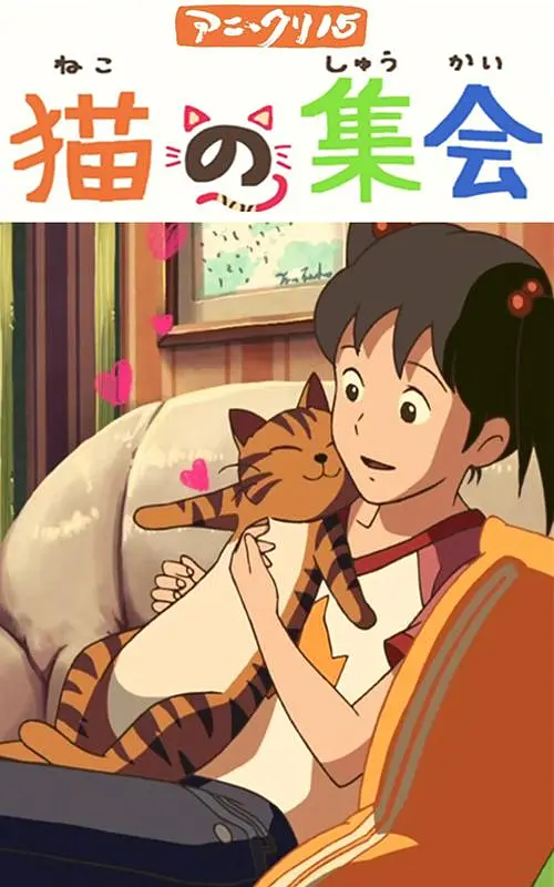黄页网站免费观看视频