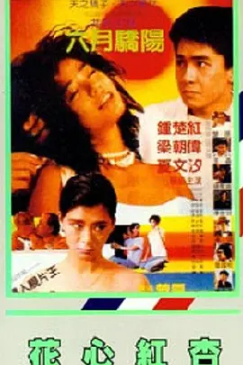 重生的聚会未删减版