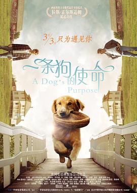 失眠的性爱