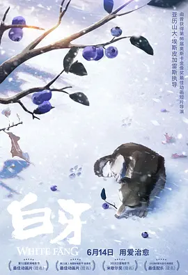 男插女视频