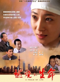 布兰迪洛夫电影大全列表