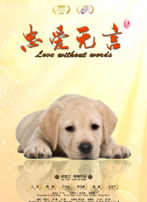 欧美片能看的一级毛片
