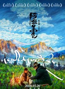 91视频一区二区