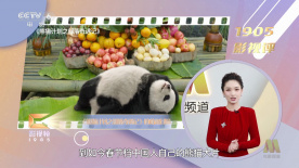 精品久久一级